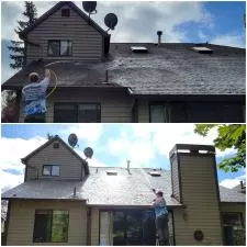 Roof Washing in Sammamish, WA